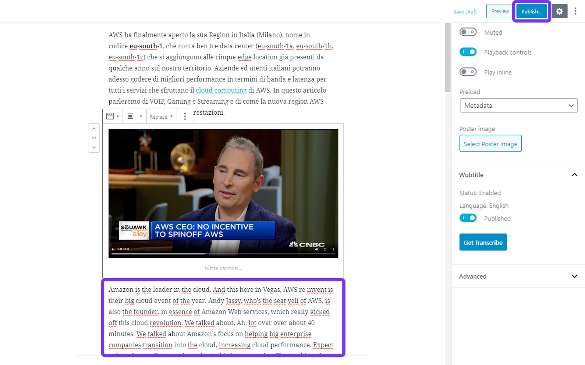 Wubtitle video-to-text tutorial - Step 4: modifica la trascrizione o pubblica direttamente il post
